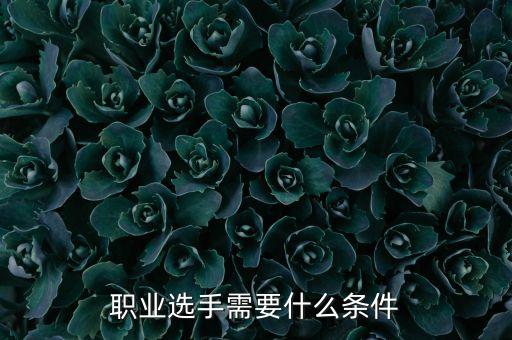成為電競(jìng)職業(yè)選手的要求和標(biāo)準(zhǔn)如何成為一名職業(yè)電競(jìng)選手？(圖2)