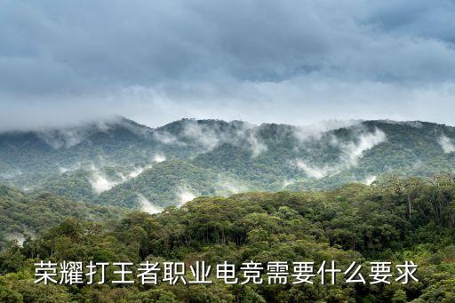 成為電競(jìng)職業(yè)選手的要求和標(biāo)準(zhǔn)如何成為一名職業(yè)電競(jìng)選手？
