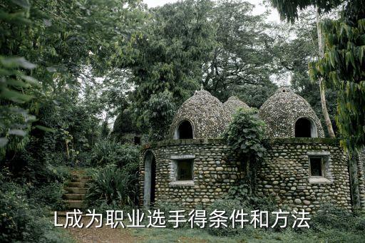 成為電競(jìng)職業(yè)選手的要求和標(biāo)準(zhǔn)如何成為一名職業(yè)電競(jìng)選手？(圖3)