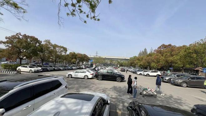 清明假期共青森林公園迎大客流！楊浦警方提醒→(圖4)